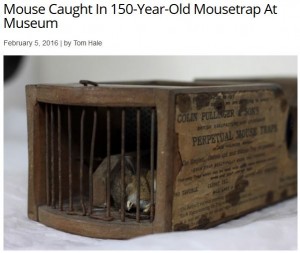 mousetrap
