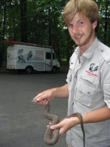 Snake Removal